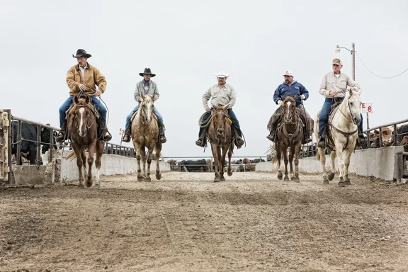 Fünf Reiter mit Pferd und Cowboyhut auf Sand