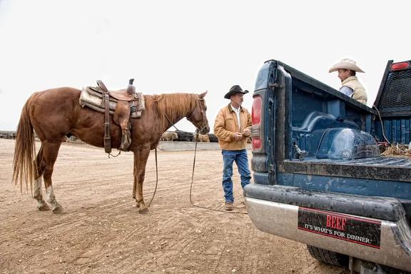 Zwei Personen mit Cowboyhut, einer mit Pferd neben einem Auto