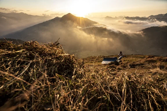 Persosn mit Gras arbeitsgrät auf dem Berg, Berge mit Sonne im Hintergrund, Grasberge im Vordergrund
