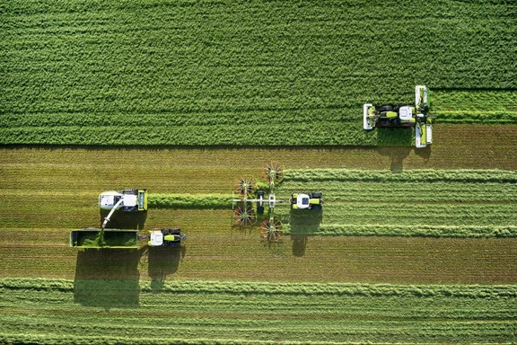 Gras wird geschnitten, zusammengelegt und auf einen Anhänger verladen, grünes Feld von oben