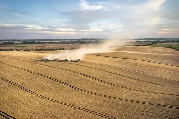 Vier Mähdrescher nebeneinander auf einem Kornfeld, Blick von weit oben, Hintergrund weitere Felder und Himmel