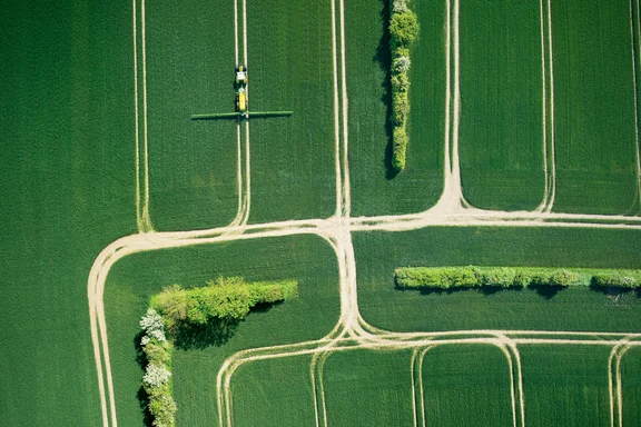 Grünes Feld mit Baumreihen und Spritzfahrzeug von oben