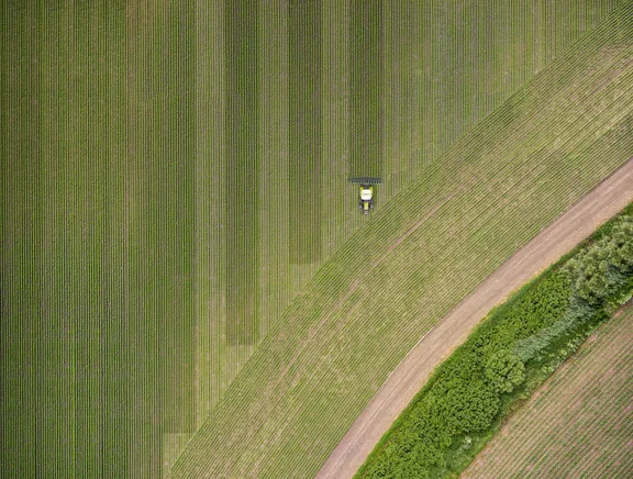 Grünes Feld von oben mit Trecker, Weg und Baumreihe rechts