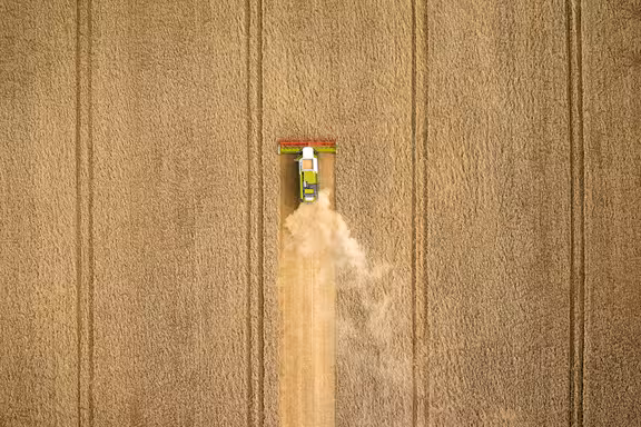 Mähdrescher der Kornfeld mäht, von oben