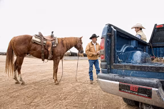 Zwei Personen mit Cowboyhut, einer mit Pferd neben einem Auto