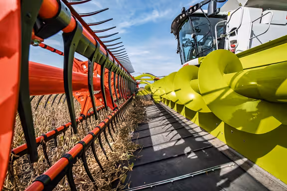 Mähdrescher, Blick seitlich in das Schneidewerk