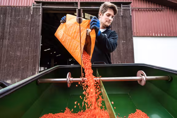 Mann, der aus einem Papierpaket Samen in ein Behältnis kippt, Hintergrund: offenes Scheinentor