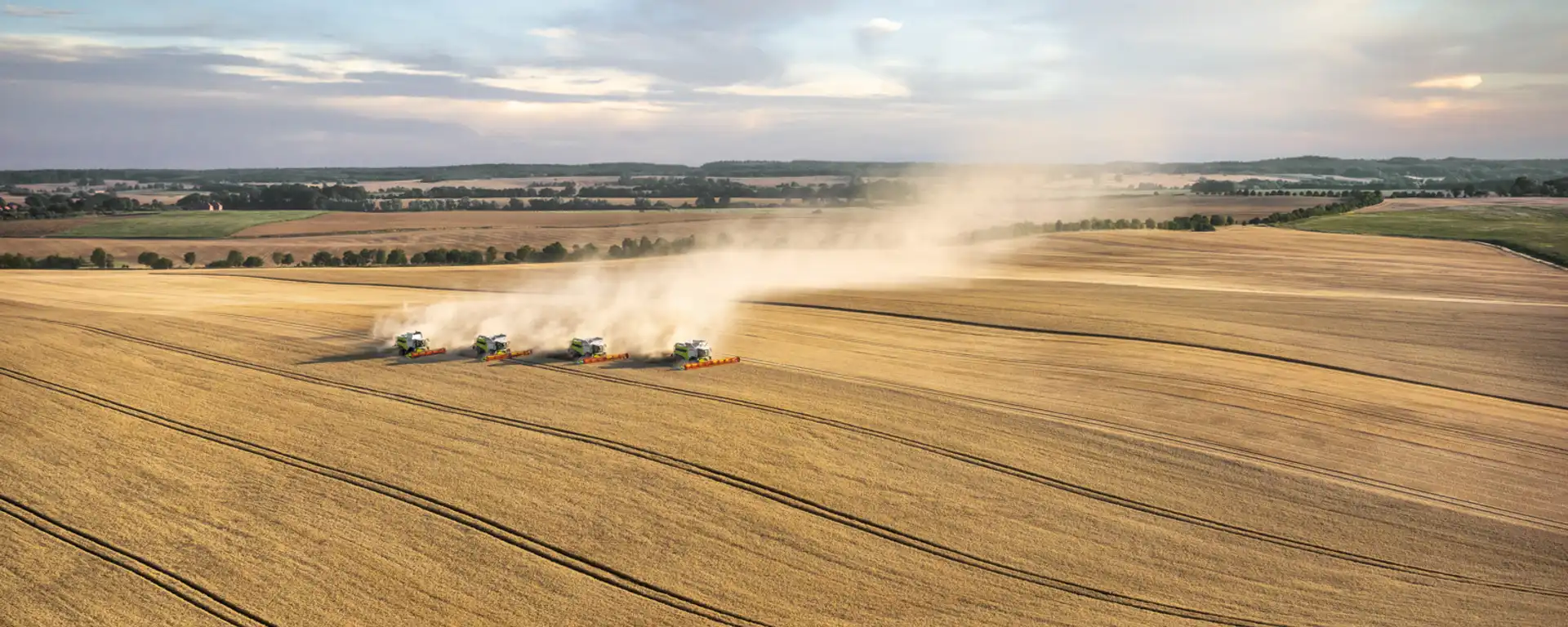 Riesiges Feld mit vier Mähdreschern