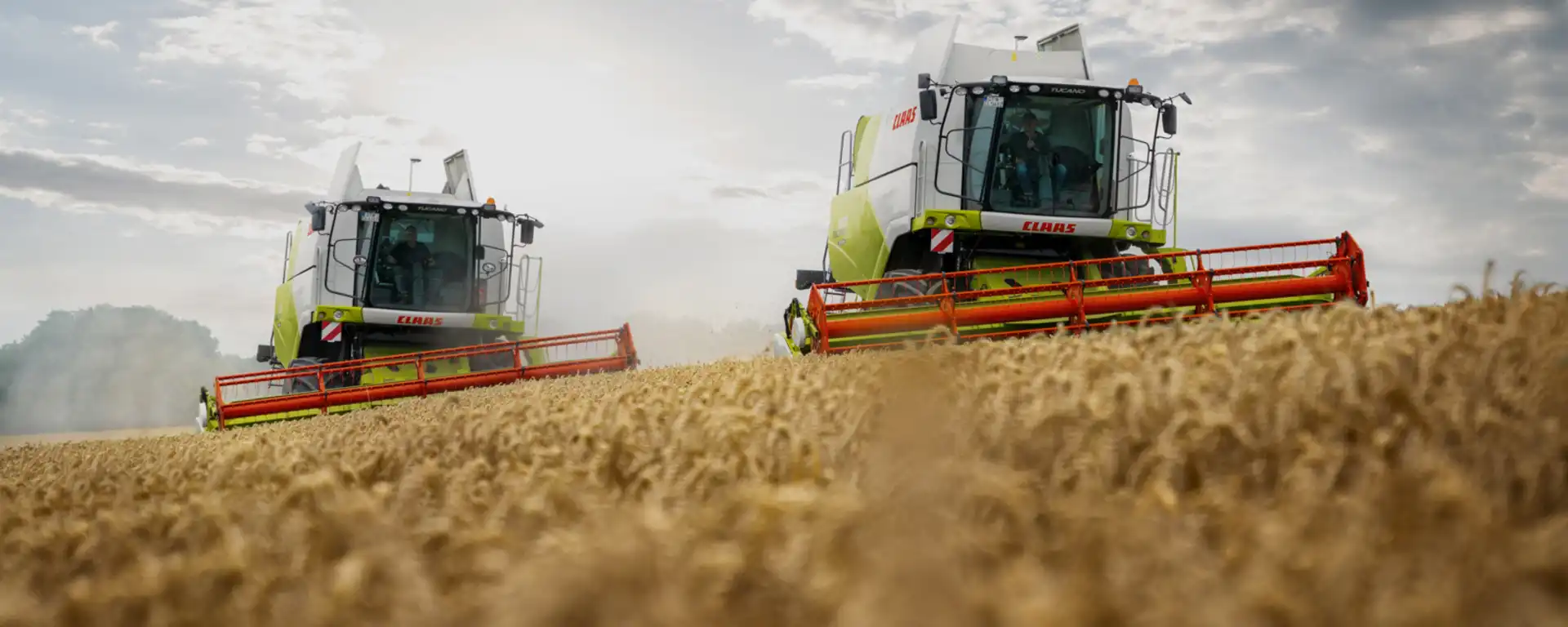 zwei Claas Mähdrescher auf einem Feld