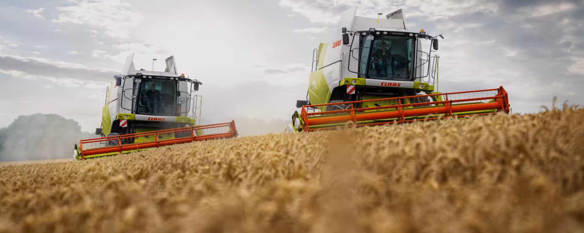 zwei Claas Mähdrescher auf einem Feld